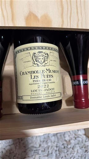 Bourgogne Chambolle-Musigny Premier Cru Domaine Louis Jadot Les Fuées 2022