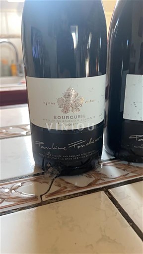 Dolina Loare Bourgueil Pauline Ferrand 2011