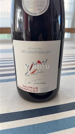Wines Rouge sec Les Tennieres Domaine S Damoiselles 2022 France Loire Valley Saumur-Champigny AOC