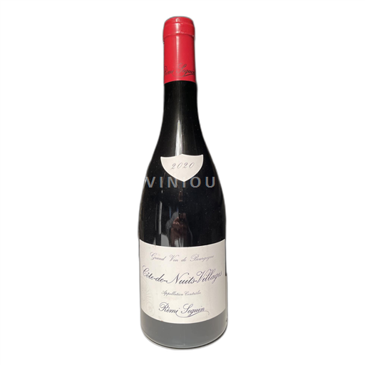 Burgund Côte de Nuits Villages Rémi Seguin 2020