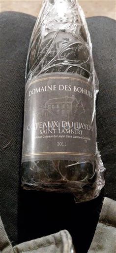 Loire Valley Coteaux du Layon Domaine S Boihours Saint Lambert 2011