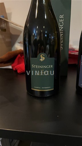 Baja Austria Kamptal DAC Steininger Lamm 1ÖTW Grüner Veltliner Sin añada