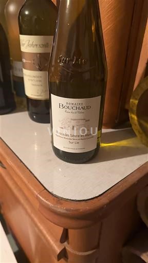 Loirevallei Niet gespecificeerd Domaine Bouchaud 2019