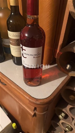 Castilien og León Ribera del Duero Torremorón Rosado 2020
