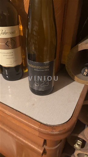 Renania. Rheinhessen Rodensteiner Sauvignon Blanc S23 2023