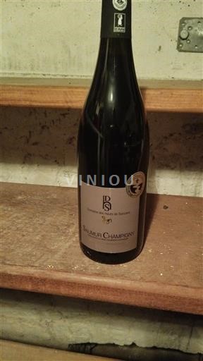 Dolina Loare Saumur-champigny Domaine Pas Saint Martin 2021