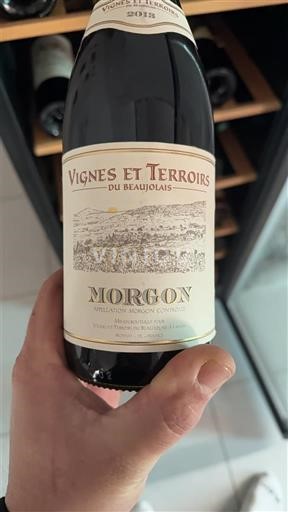 Beaujolais Morgon Vignes et Terroirs du Beaujolais 2013