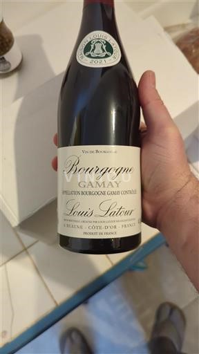 Bourgondië Bourgogne Louis Latour Gamay 2021