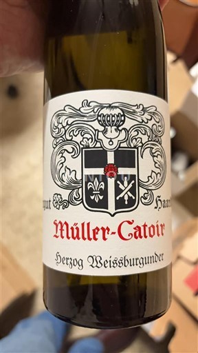 Pfalz Müller-Catoir Herzog Weissburgunder 2023