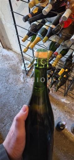 Beaujolais Niet gespecificeerd Cerdon Cerdon Niet-geïntegreerd