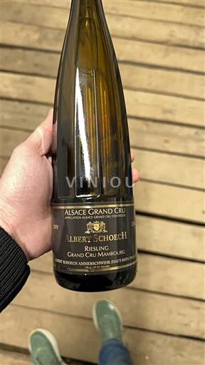 Elsass Riesling Grand Cru Albert Schoech 2019