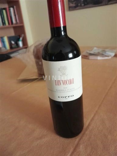 Piemonte Barbera d'Asti Coppo 2024 2024