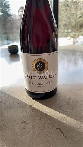 Баден Fritz Waßmer 2023