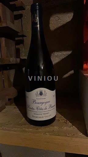 Burgund Hautes Côtes de Beaune Domaine Ternin Romuald Valot 2022