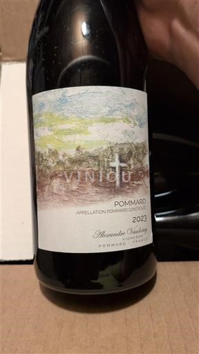 Víno Rouge sec Croix Blanche Alexandre Vaudoisey 2023 Francie Burgundsko Pommard AOC