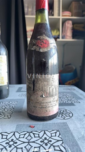 Vale do Loire Chinon Domaine Angelliaume Leonce 1976