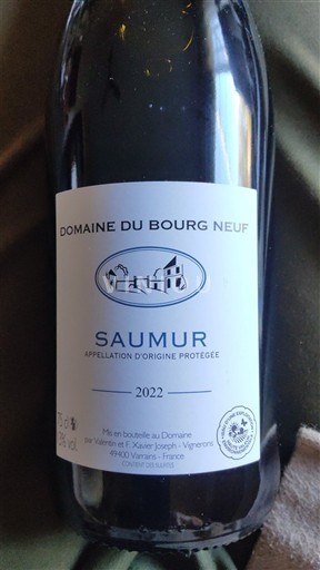 Loire-dalen Saumur Domaine Bourg Neuf 2022
