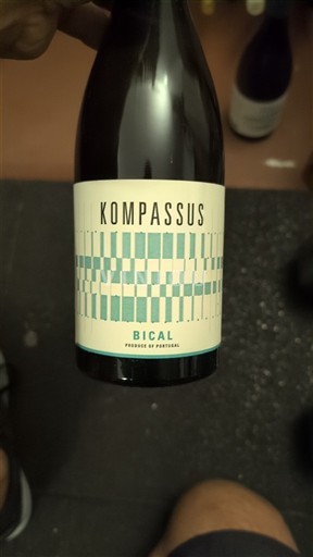 Portugal Bairrada Kompassus Bical 2020