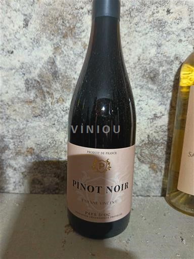 Linguadoca e Rossiglione Paese d'Oc Etienne Vincent Pinot Noir Senza annata