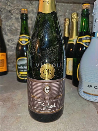 Champagne Bailard Blanc Brut Ikke årgangsbestemt