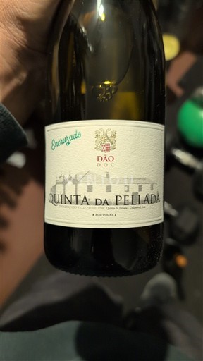 Portugal Dão. Quinta da Pellada Encruzado late release 2023