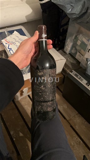 Bordeaux Saint-Émilion Grand Cru Château Pipeau 2009 2009