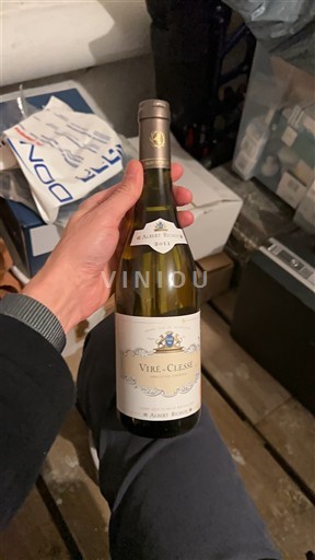 Burgundija Viré-clessé Albert Bichot 2011