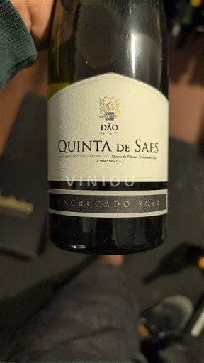 Portugal Dão. Quinta de Saes Encruzado 2022