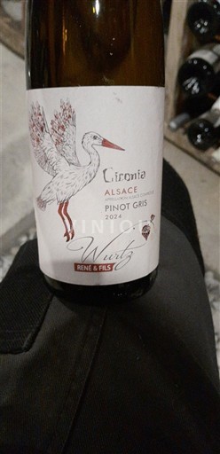 Alsace Wertz René & Fils Ciconia 2024