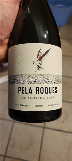 Cộng đồng Valencia Valencia Mustiguillo Pela Roques 2020