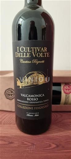 Lombardija Ni doloceno Cantina Bignotti Collezione Fenocolo 2022