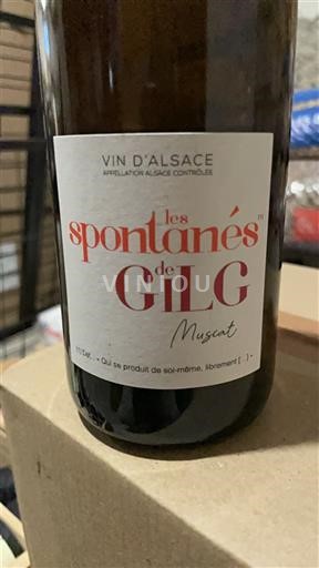 Alsacia Gilg Les spontanés 2022