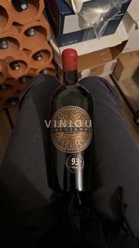 Bordeaux Lussac-Saint-Émilion Luccianus Amphore 2023 Non-Vintage