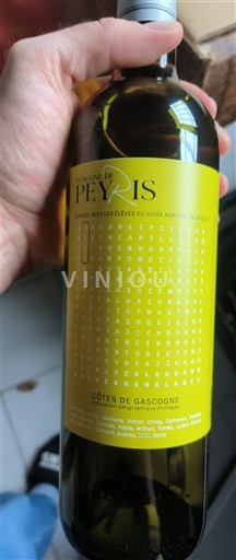 Sudoeste Côtes de Gascogne Domaine Peyris Sin añada