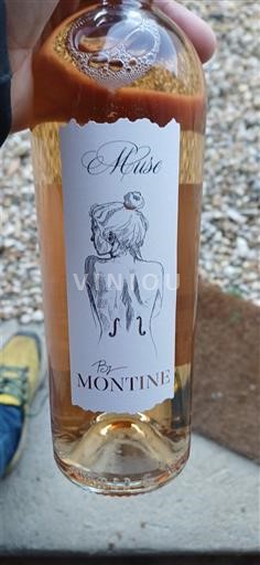 Valle del Rodano Grignan-les-adhémar Domaine Montine Muse 2024