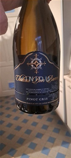 Sudoeste Côtes de Gascogne Château Bon Baron Sin añada