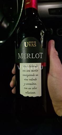 Castilla-La Mancha La Mancha Mar de Uvas 2024