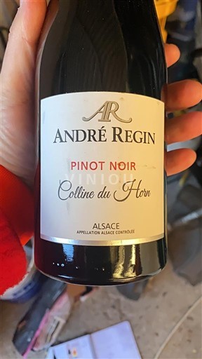 Alsacia André Regin Colline du Horn 2022