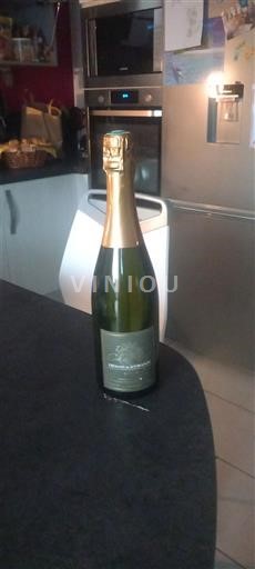 Borgonha Crémant da Borgonha Domaine Des Terres de Chatenay Brut Não Sazonado