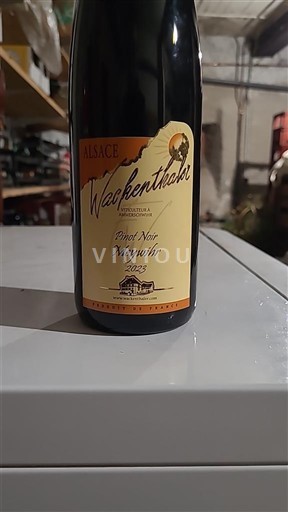 Alsace Pinot noir Domaine Wackenthaler Pinot Noir Meywihr 2023