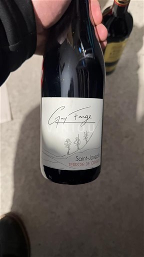 Rhône Valley Saint Joseph Guy Farge Terroir de Granit 2021