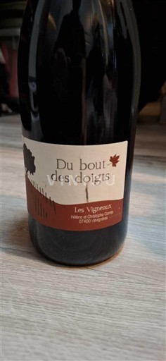 Valle della Loira Touraine Les Vigneaux Du bout des doigts 2020