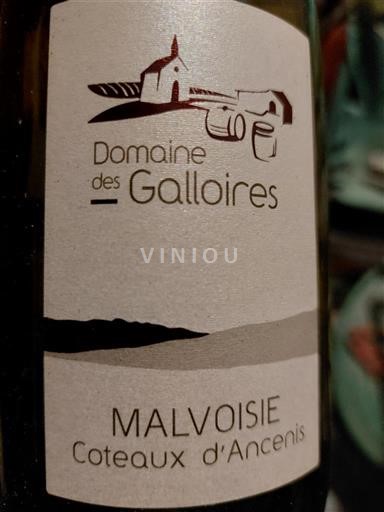 Valle della Loira Coteaux-d'Ancenis Domaine S Galloires Malvoisie 2022