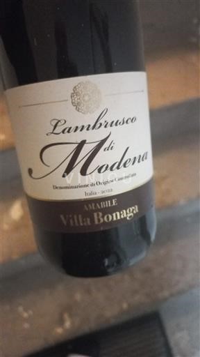 Emilia-Romagna Không được chỉ định Villa Bonaga 2022