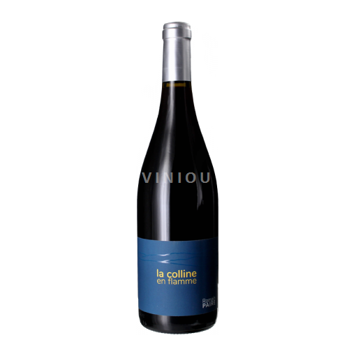 Loire-dalen Domaine S Pothiers La colline en flamme 2024