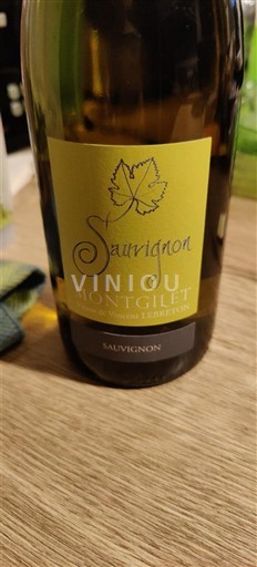 Dolina Loare Domaine Montgilet Sauvignon 2023