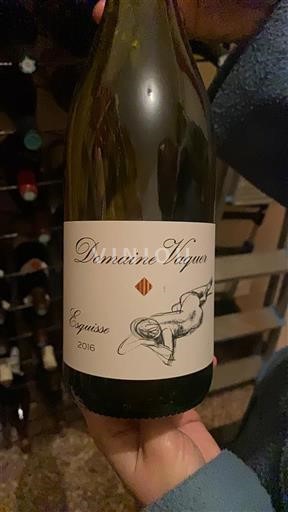Loirevallei Domaine Vague Esquisse 2016