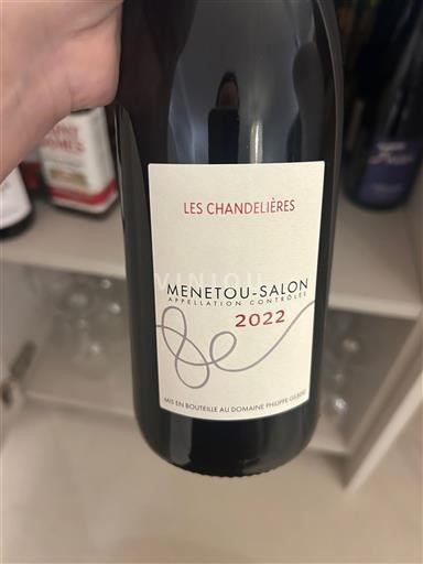 Vale do Loire Menetou-Salon Domaine Philippe Gilbert Les Chandelières 2022