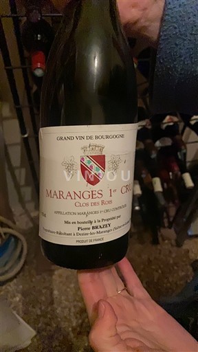 Bourgogne Maranges Premier Cru Pierre Bruzey Clos des Rois Ikke årgangsbestemt