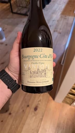 Burgundy Burgundy Côte d'Or Domaine Rémi Jobard Vieilles Vignes 2022